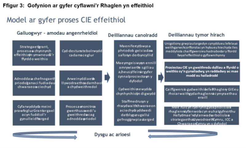 Model yn adnabod yr amodau hanfodol er mwyn cyflawni deilliannau canolraddol sy'n arwain at ddeilliannau tymor hirach. Mae adborth dysgu ac arloesedd parhaus hefyd.