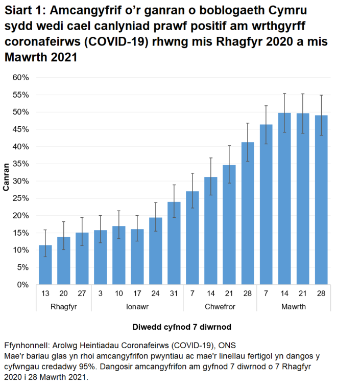 Mae'r siart yn dangos bod nifer y bobl sy'n profi'n bositif am wrthgyrff COVID-19 wedi codi'n barhaus ers 7 Rhagfyr 2020, ond wedi lefelu'n ddiweddar.