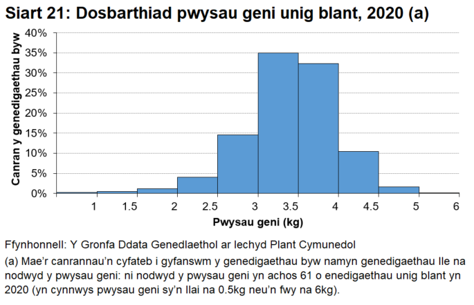 Histogram o bwysau geni unig blant lle dangosir mynychder pob categori pwysau geni yn 2020.