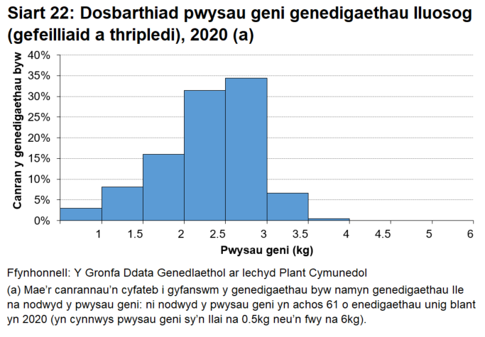 Histogram o bwysau geni genedigaethau lluosog lle dangosir mynychder pob categori pwysau geni yn 2020.