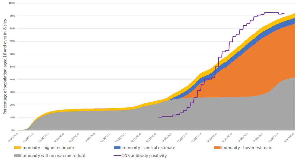 Graphs showing immunity estimates and antibody status of individuals aged 16 and over