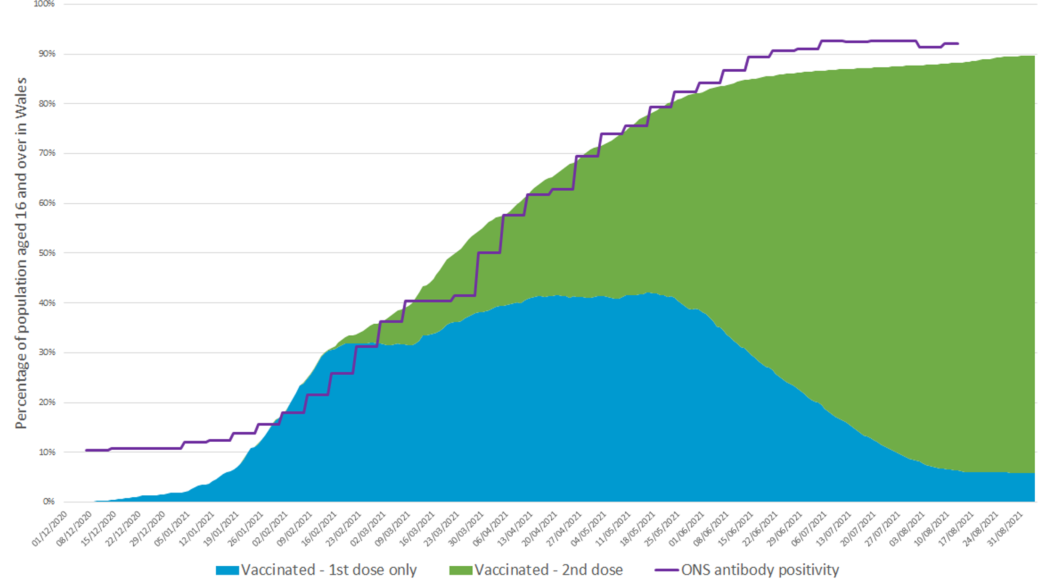 Graphs showing vaccination and antibody status of individuals aged 16 and over