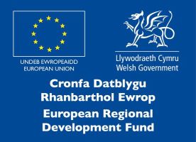 European Regional Development Fund logo