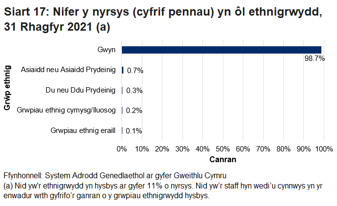 Roedd bron i 99% o nyrsys yn dod o grŵp ethnig gwyn. O'r rhai o gefndir ethnig leiafrifol, roedd y rhan fwyaf ohonynt o ethnigrwydd Asiaidd neu Asiaidd Prydeinig (0.7%).