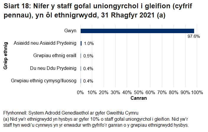 Roedd bron i 98% o staff gofal uniongyrchol i gleifion yn dod o gefndir ethnig gwyn. O'r rhai o gefndir ethnig leiafrifol, roedd y rhan fwyaf ohonynt o gefndir Asiaidd neu Asiaidd Prydeinig (1.0%).
