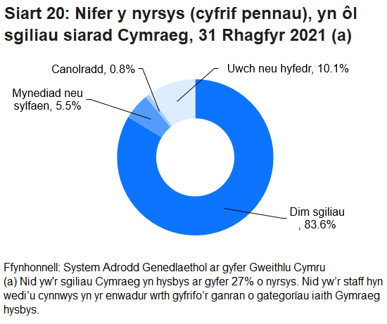 Cofnodwyd fod gan un o bob deg (neu 10.1%) o nyrsys sgiliau siarad Cymraeg uwch neu hyfedr. Nododd 6.2% arall bod eu sgiliau rhwng lefel mynediad a chanolradd. Nid oedd gan 83.6% unrhyw sgiliau siarad Cymraeg o gwbl.