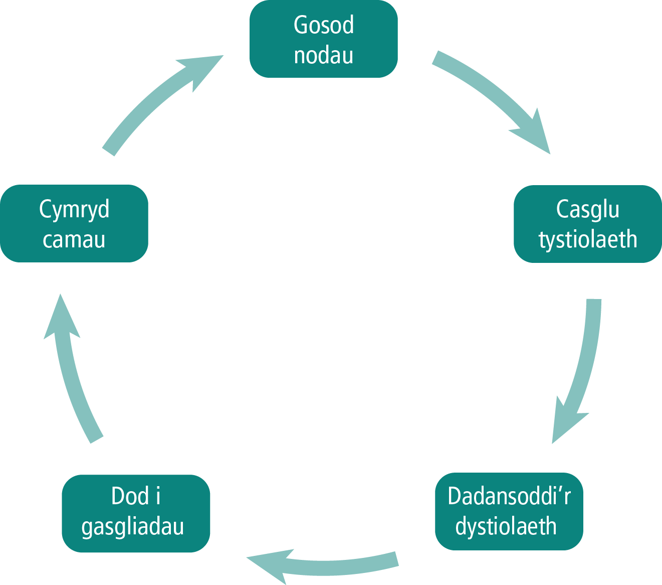 Diagram cylchol yn dangos y broses o fonitro a gwerthuso i osod nodau, casglu a dadansoddi tystiolaeth, dod i gasgliadau a chymryd camau.
