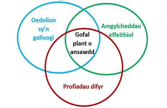 1) Oedolion sy'n galluogi dysgu – staff medrus a magwrus sy'n cefnogi dysgu a datblygiad pob plentyn (SGC13)  (2) Profiadau diddorol – cyfleoedd chwarae ystyrlon sy'n adlewyrchu diddordebau ac anghenion datblygu plant bach (SGC 7)  (3) Amgylcheddau effeithiol – lleoedd diogel, cynhwysol ac ysgogol sy'n annog plant i archwilio ac yn hybu eu llesiant (SGC 22)