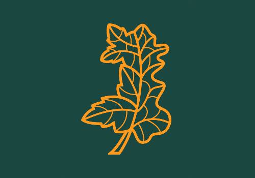 Dod yn rhan o Goedwig Genedlaethol Gymru