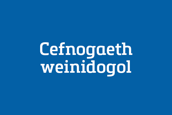 Cefnogaeth weinidogol