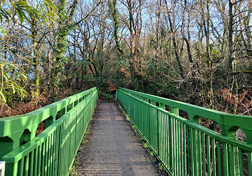 Coedwig Hensol i Goedwig Llantrisant