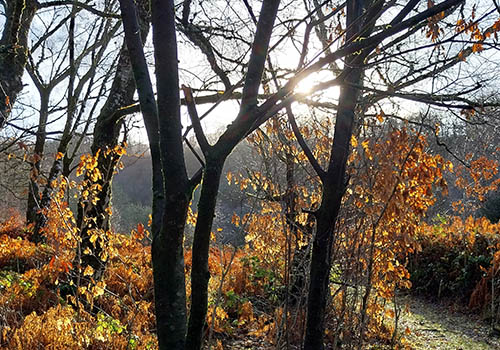 Nant y Moel i Bont Walby