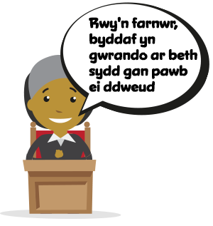 Rwy'n farnwr, byddaf yn gwrando ar beth sydd gan pawb ei ddweud