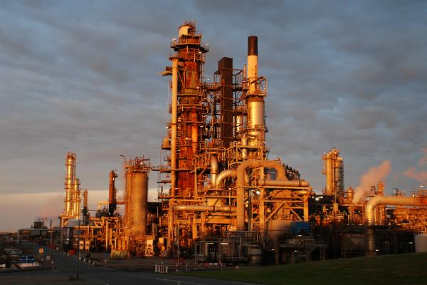 Ffoto: Technegol InSite, ym Mharc Gwyddoniaeth a Thechnoleg Sir Benfro