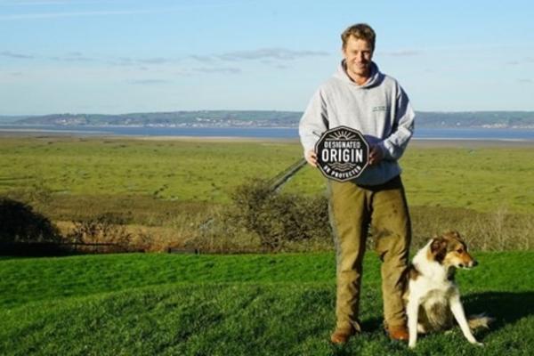 Gower salt marsh lamb