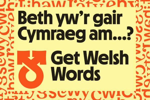 Beth yw'r gair Cymraeg am...?